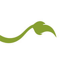 Lionheart Children's Academy