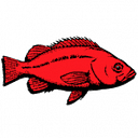Pacific States Marine Fisheries Commission